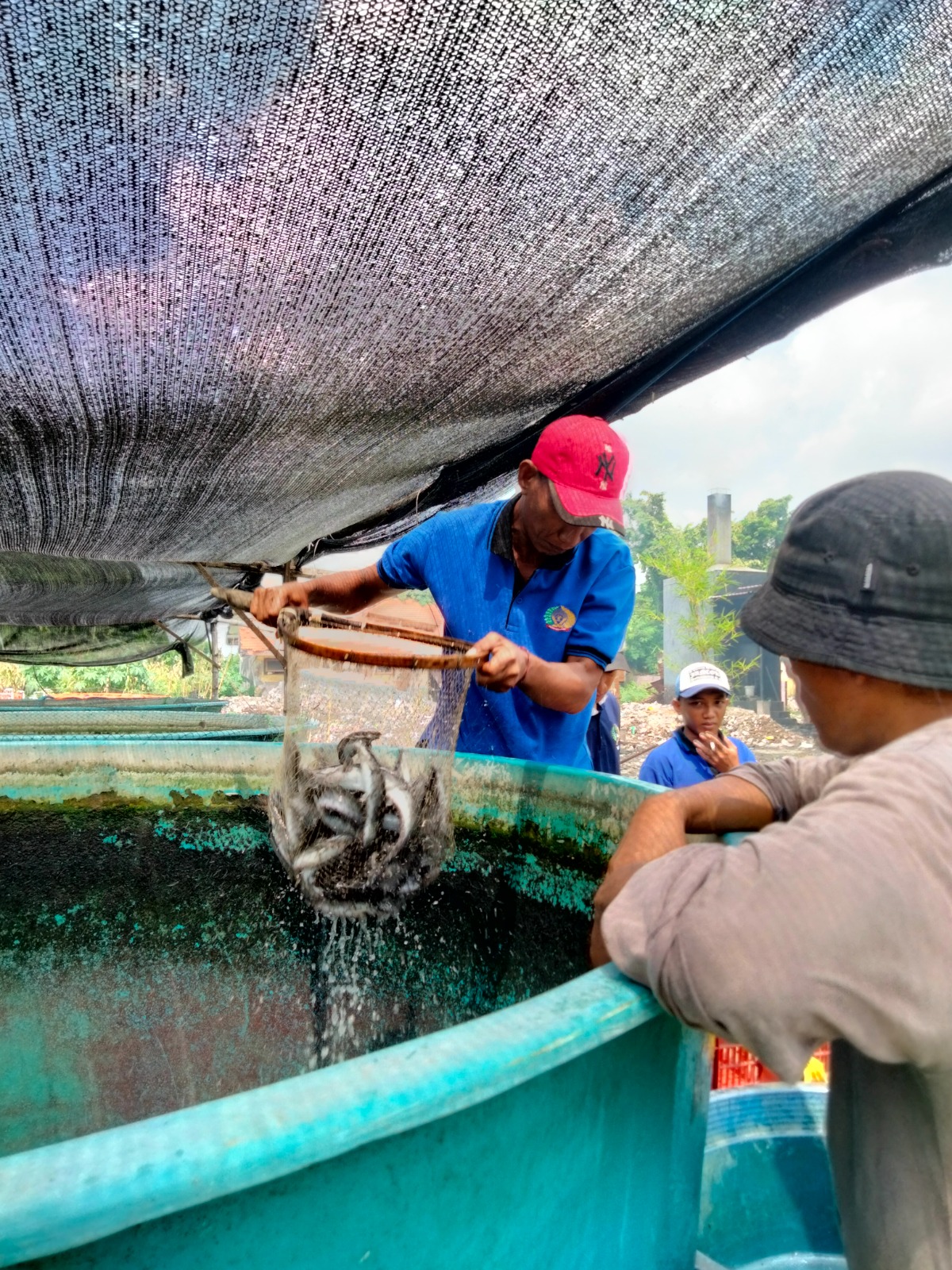 Menanam Harapan dari Kolam Lele, Jalan Reintegrasi Warga Binaan Lapas Sidoarjo