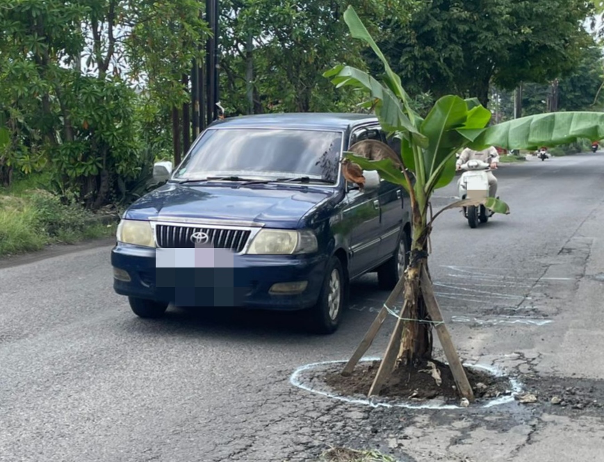 Tanam Pisang di Jalan Berlubang, Warga Sadang Kirim Sinyal Keras ke Pemkab